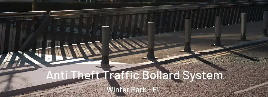 Anti Theft Traffic Bollard System Winter Park - FL