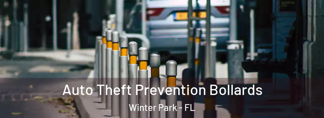 Auto Theft Prevention Bollards Winter Park - FL