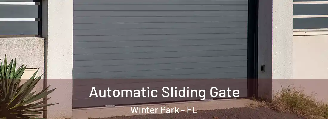 Automatic Sliding Gate Winter Park - FL