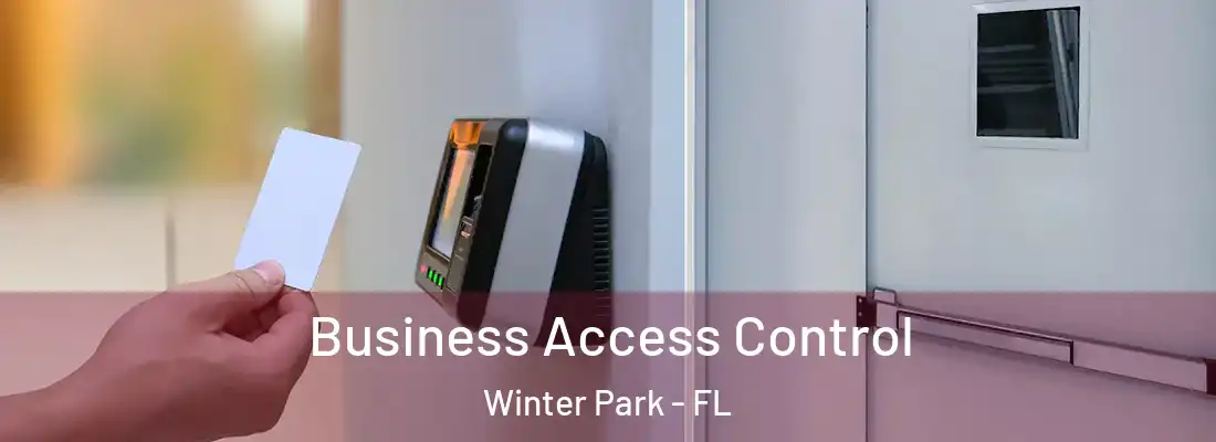 Business Access Control Winter Park - FL