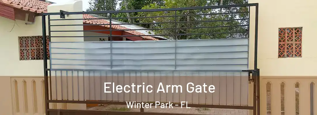 Electric Arm Gate Winter Park - FL