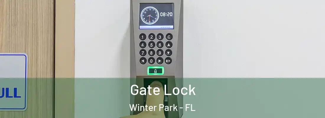 Gate Lock Winter Park - FL