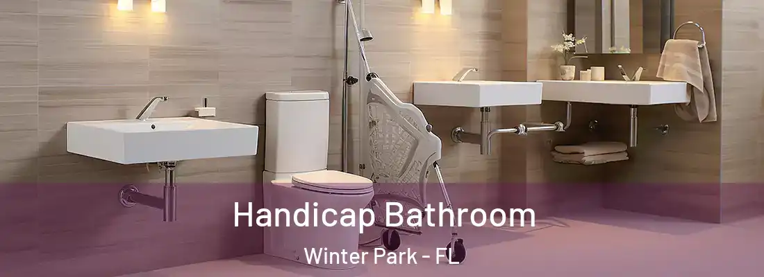 Handicap Bathroom Winter Park - FL