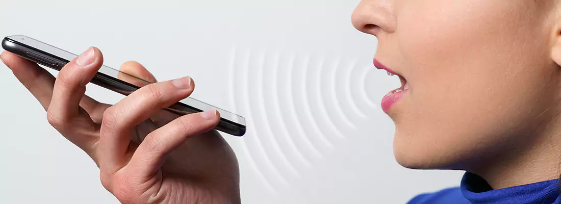 Residential and Commercial Voice Recognition Access Solutions in Winter Park, FL