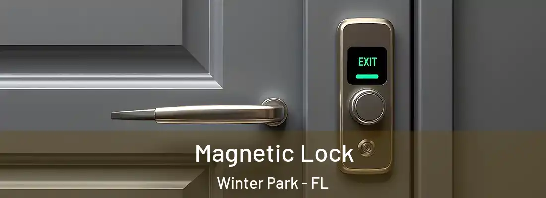Magnetic Lock Winter Park - FL
